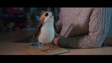 Meet The Porgs - Star Wars Episode VIII The Last Jedi