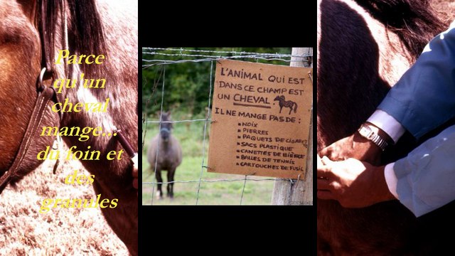 2018 Syrius Opaline Programme de parrainage