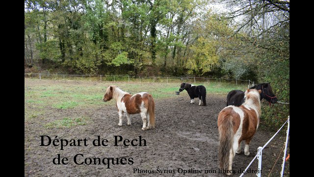 2017 La transhumance des poneys de l'association Syrius Opaline
