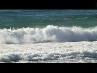 2009 World Waveski Titles