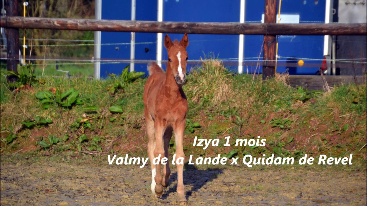 Izya des Edènes 1 mois