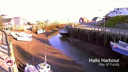 Time Lapse - Marée montante