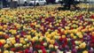 Bolu 1,5 milyon çiçekle rengarenk oldu/Bolu became colorful with 1.5 million flowers