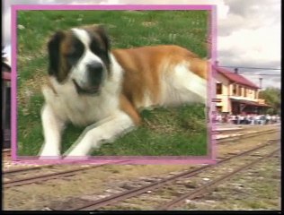 Bee Smart Baby Vocabulary Builder 1 (1999)