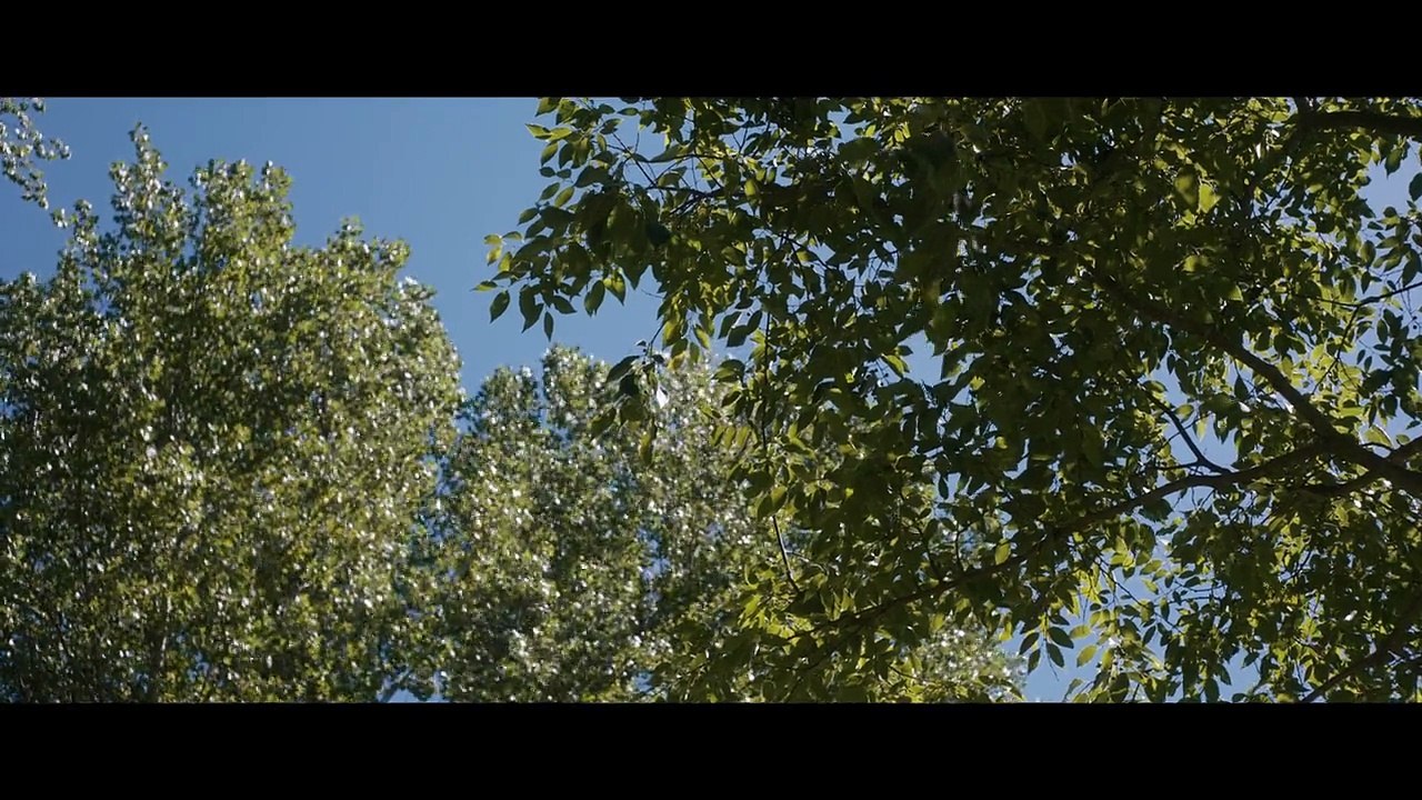 Tráiler película "Casi 40", escrita y dirigida por David Trueba y protagonizada por Lucía Jiménez y Fernando Ramallo