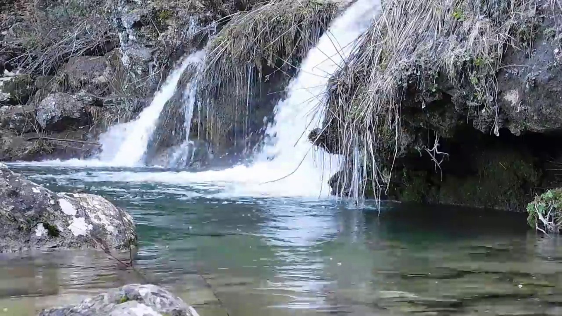 naturaleza y musica / pajaros /arroyos y musica/