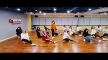 [Mirrored_Slow] 우주소녀 WJSN - 'Dreams Come True 꿈꾸는 마음으로(X0.7 느리게)' Mirrored Dance Practice 안무영상 거울모드