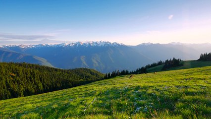 Nature Relax Video in 4K UHD (2 hours video) - Hurricane Hill Trail, Olympic Peninsula