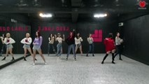 [Mirrored] MOMOLAND 모모랜드 -'BBoom BBoom 뿜뿜' Mirrored Dance Practice 안무영상 거울모드