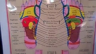 Foot Reflexology