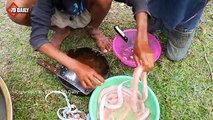 Wow! Amazing 4 Children Cook Snake For Dinner - How to Cook Snake in Cambodia