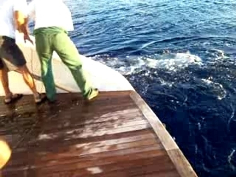 Le Ponant (Seychelles 07) Peche aux gros (thon)