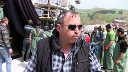 Balıkçılar umudunu yeni sezona taşıdı - BALIKESİR/YALOVA/ÇANAKKALE