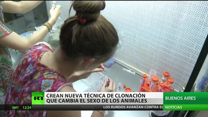 Clonar animales cambiándoles el sexo: ¿Avance o manipulación de leyes naturales?