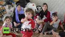 Irak: Refugiados yazidíes que huyeron ahora viven debajo de un puente