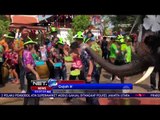 Kawanan Gajah Mengikuti Festival Air NET5