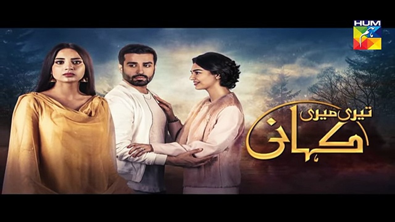 Teri Meri Kahani Episode #17 Promo HUM TV Drama - dailymotion