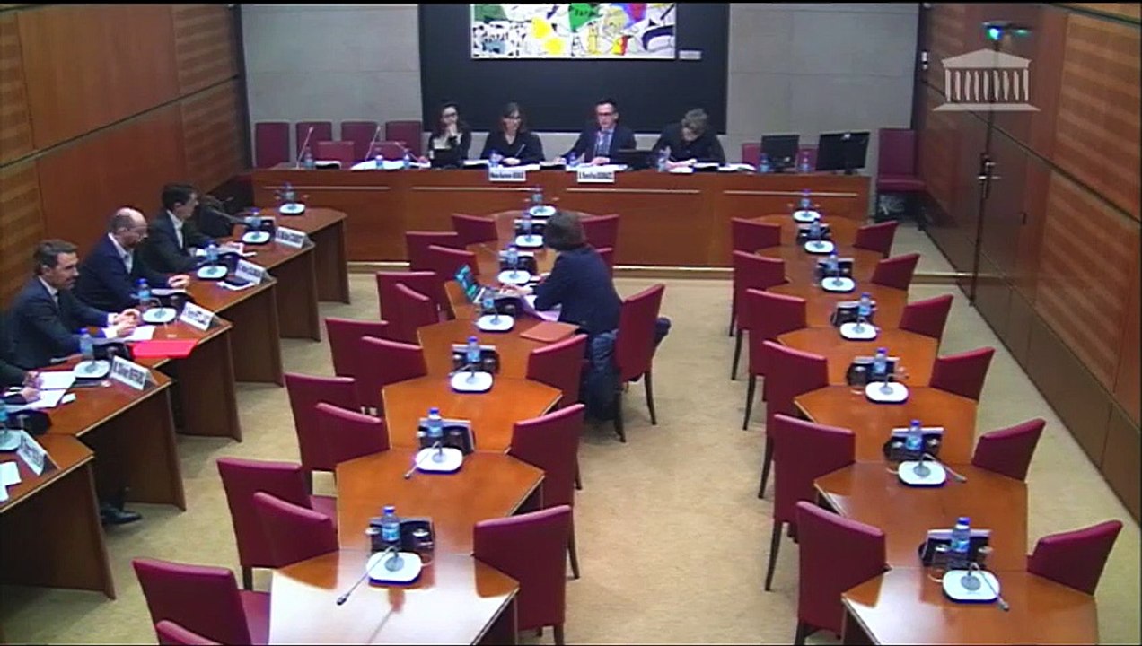 Régulation de la communication audiovisuelle : Audition de la Fédération française des Télécoms (FFT) - Jeudi 12 avril 2018