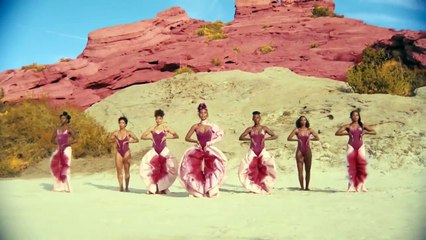 Janelle Monáe wears &#x27;vagina trousers&#x27; in Pynk music video