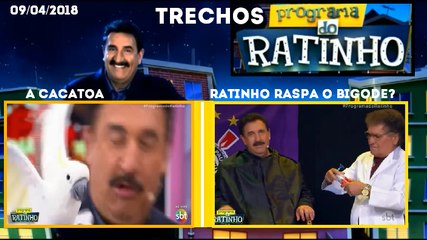 Trechos do Programa do Ratinho de 09/04/2018 - "A Cacatoa" e "Ratinho Raspa o Bigode?" (Só no daily!)