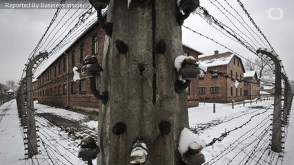 New Study Points Out How Little Americans Know About The Holocaust