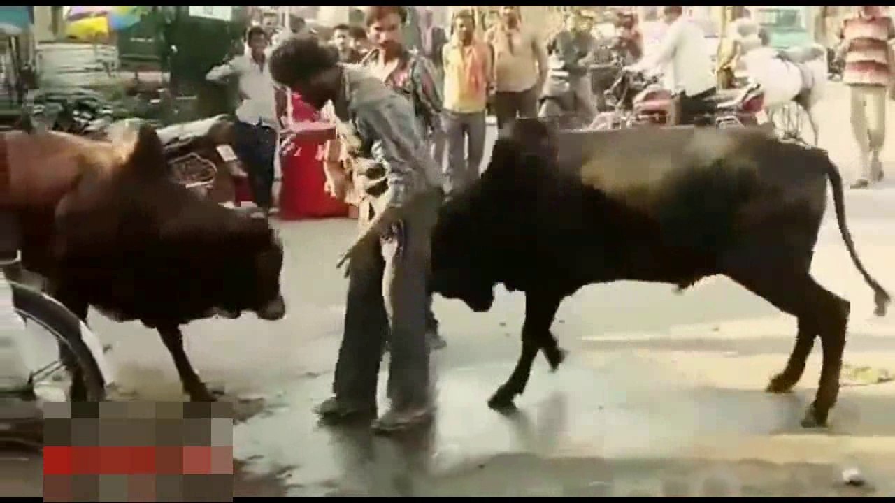 Best Funny Videos of 2018- Whatsapp Funny Videos - Try Not To Laugh Funny Indian videos