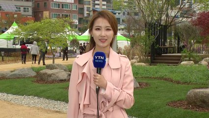 [날씨] 미세먼지 없고 포근...주말, 비 내리며 쌀쌀 / YTN