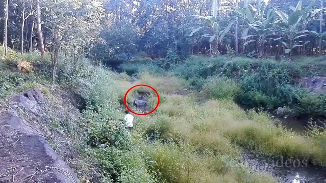 Spooky Ghost Shape Captured From A Busy Street In Hong Kong!! Most Scary Ghost Video!!