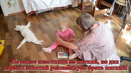 Развивающие игры. ПЛАСТИЛИН: Лепка из пластилина для детей. УРОК №1 «Основы лепки, учим цвета».