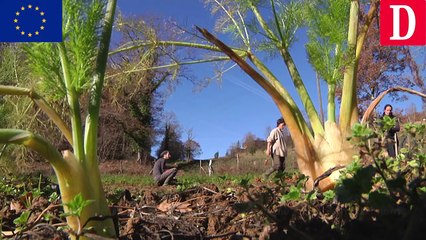 PAC : rencontre avec une maraîchère en Ariège (all)