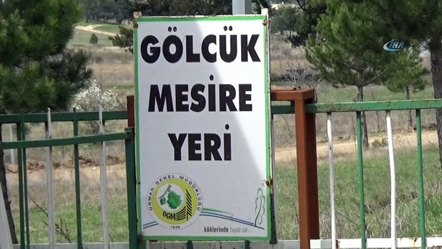 Bin 450 rakımlı Gölcük Yaylası ziyaretçilerini bekliyor