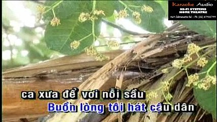 Nỗi Buồn Chim Sáo - Cẩm Ly