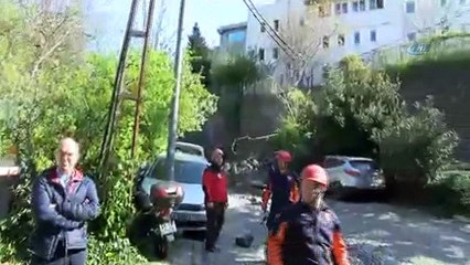 Ortaköy'de duvar çökmesinin yaşandığı sokakta bulunan Beşiktaş Kız Anadolu İmam Hatip Lisesi'nde eğitime bir gün ara verildi.