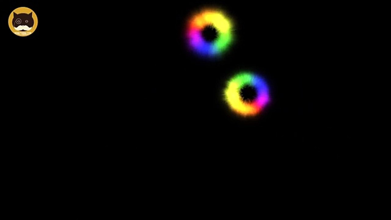 ENTERTAINMENT VIDEO FOR CATS. Cat Game on Screen. Catching Colorful Orb Rings.