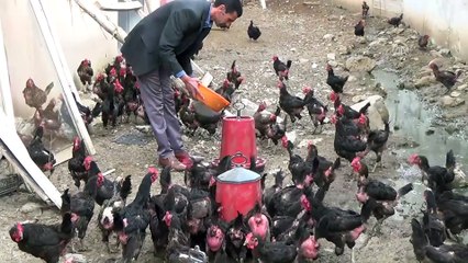 Devlet desteği ile kurduğu çiftlikte siparişlere yetişemiyor - MUŞ