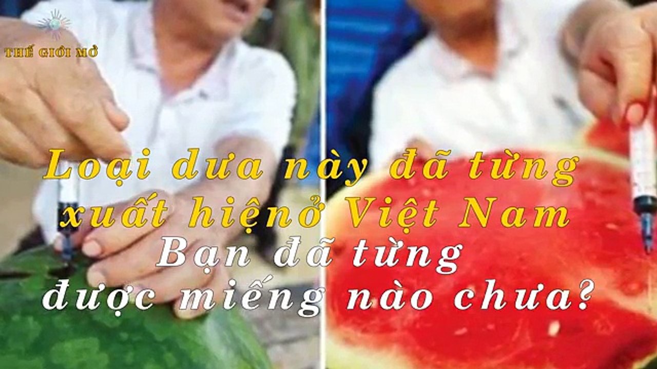 TGM | TRUNG QUỐC ĐẦU ĐỘC hay VIỆT NAM TỰ HẠI NHAU. Top 10 Thực Phẩm Cực Bẩn