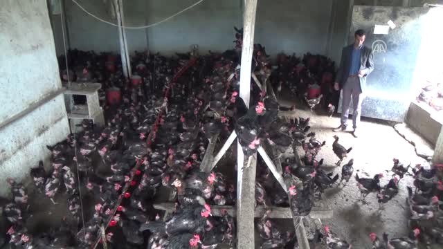 Devlet Desteği ile Kurduğu Çiftlikte Siparişlere Yetişemiyor