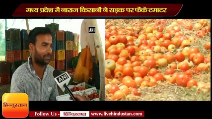 Video herunterladen: Angry farmers dump tomatoes on road after being hit by poor prices