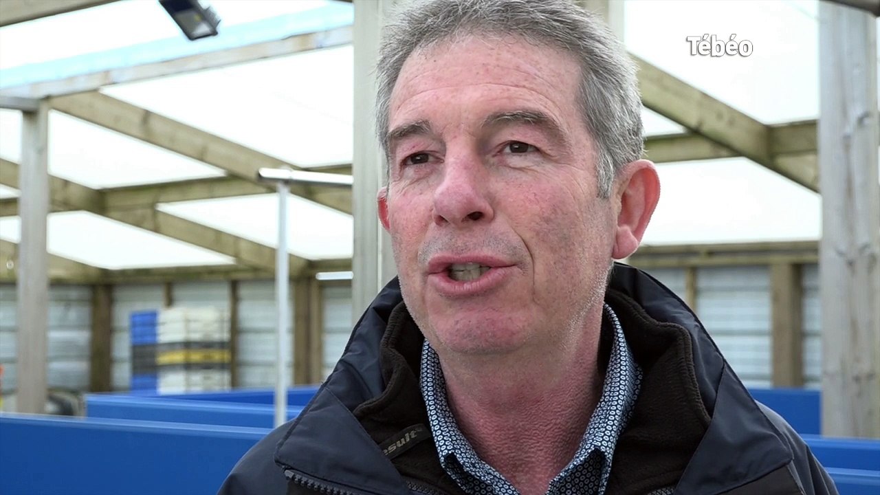 Brest. Un phoque de l’Arctique soigné à Océanopolis