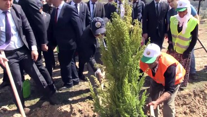 Safranbolu'daki her öğretmen ve öğrenci için fidan - KARABÜK