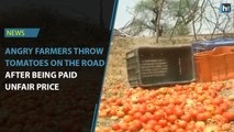 Angry farmers throw tomatoes on the road after being paid unfair price