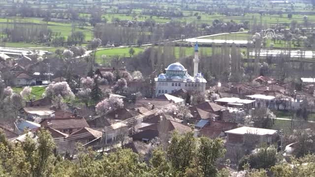 Mantar Üreterek Köyünde Tersine Göçü Teşvik Etti