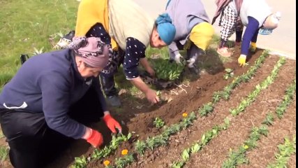 Bitlis, Ahıskalı Kadınların Eliyle Güzelleşiyor