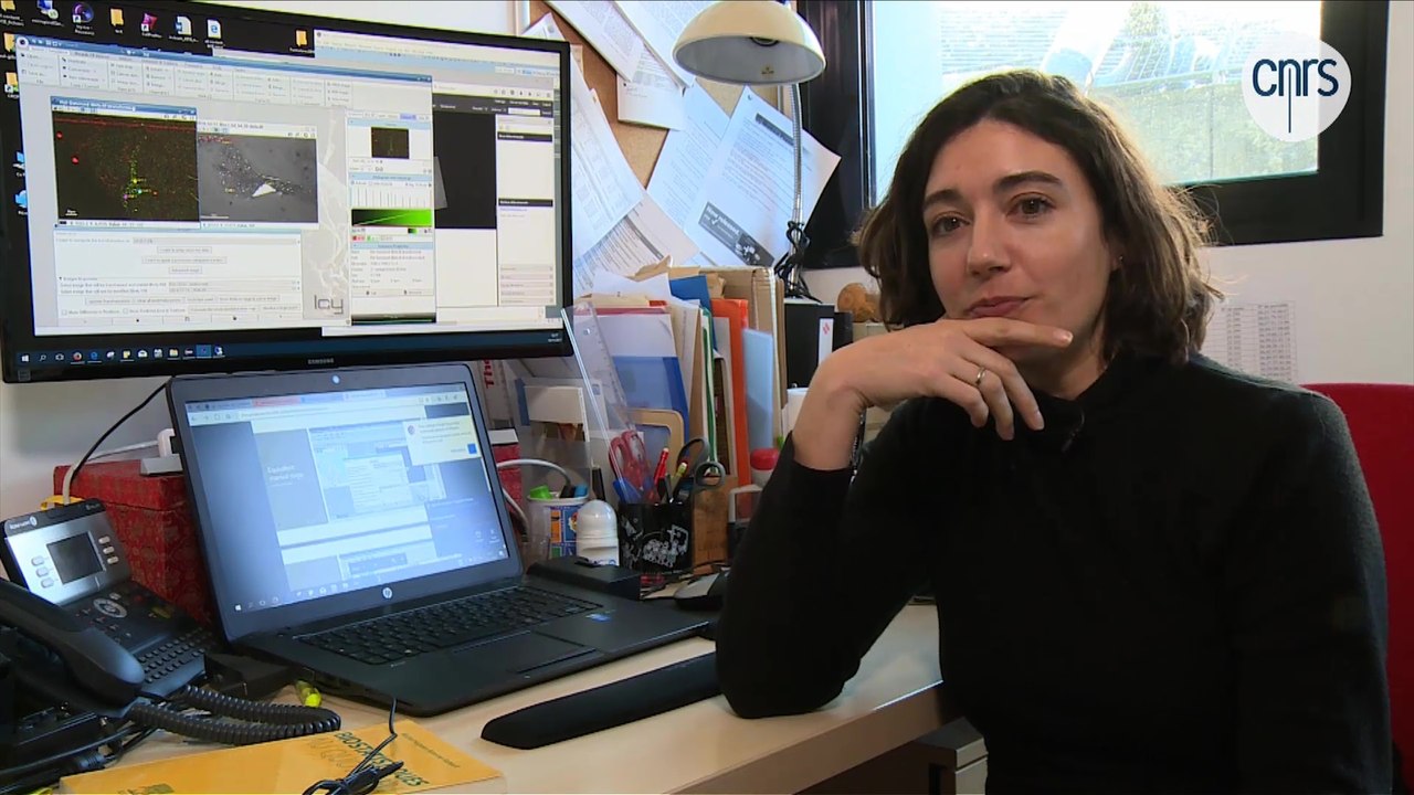 Perrine Paul-Gilloteaux, experte en calcul scientifique