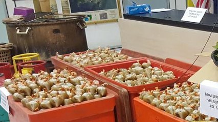 Six men arrested for processing ketum leaves