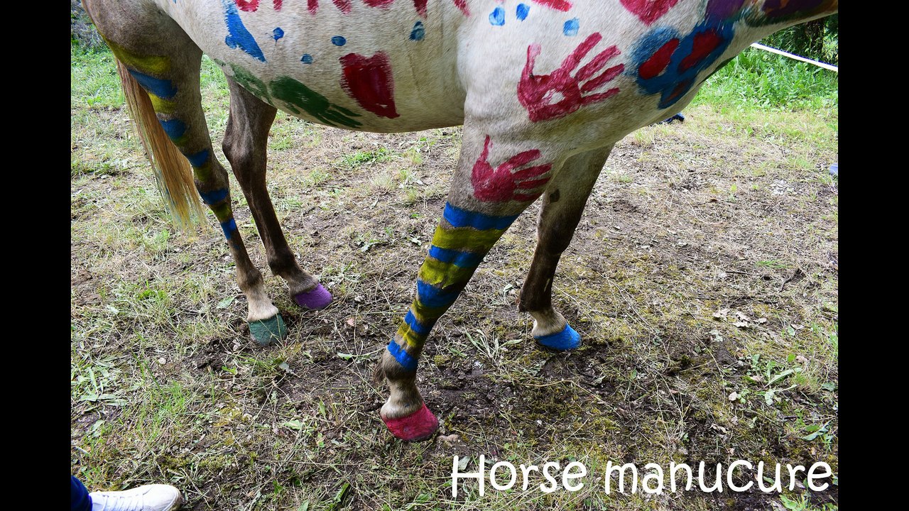 2017 Fête Syrius Opaline  Opus 5  Horse paint avec Aquarelle