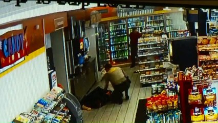 Turtle That Can Breathe Through Its Genitals Faces Possible Extinction