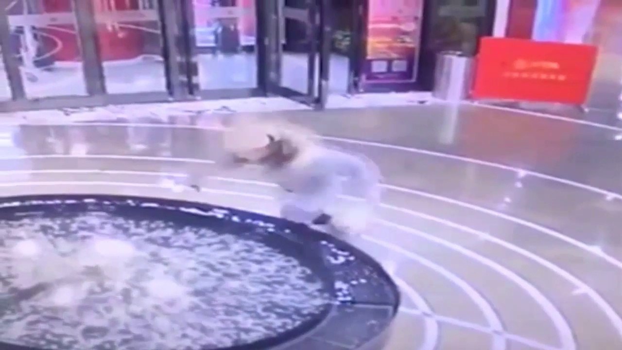 A Mourir De Rire chutes droles de gens accros a leurs smartphones