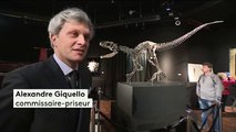 Paris : les dinosaures aux enchères