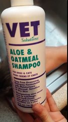 Adorable kitten takes bath!! Tutorial